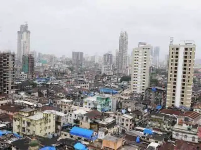 Will The Project To Transform Mumbai S Bhendi Bazaar Into Low Cost Skyscrapers Work The Economic Times According to sir george christopher molesworth birdwood, the bhendy tree is thespesia populnea, in southern india, commonly called portia, a favourite ornamental tree. bhendi bazaar into
