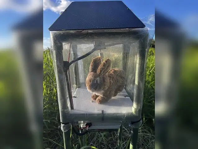 Florida deploys robotic rabbits to combat invasive pythons - The Economic Times