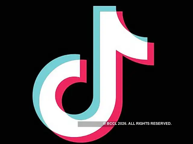 TikTok fixes bugs that exposed data