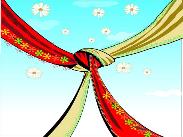 Proposal Consultant New Entrant In The Indian Wedding Industry