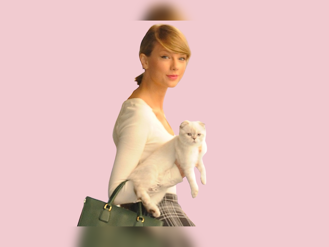 Swiftie. YES! This is who I am!!!!!!! I want one to describe a