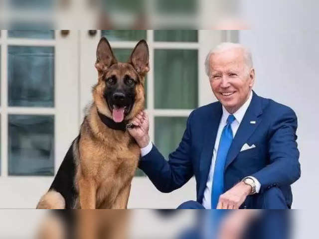 Biden's dog Commander bites Secret Service officers 10 times in