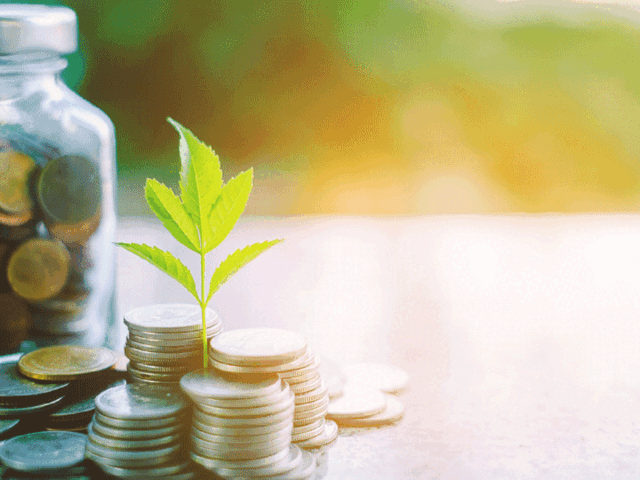 Satin Creditcare Network Satin Creditcare Gets 15 Million Ecb Funding The Economic Times