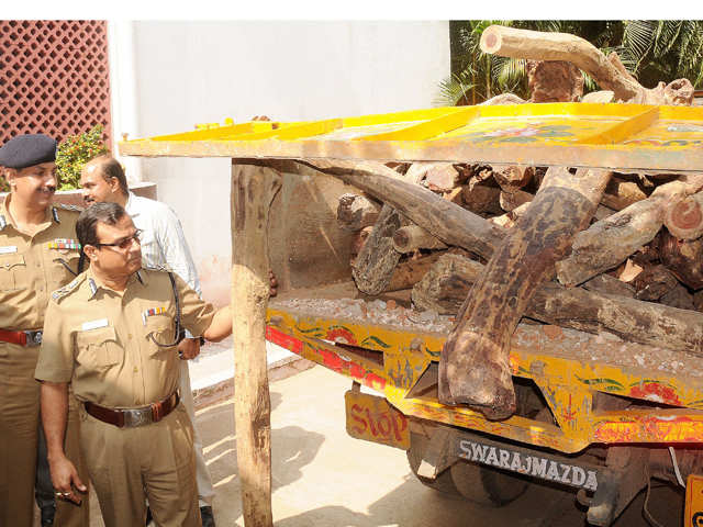 Environment Ministry Keeps Red Sanders Out Of Wildlife Protection Act The Economic Times