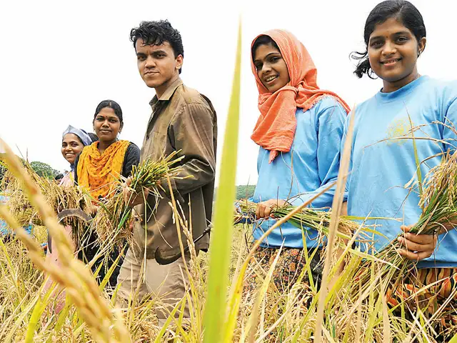 How Kerala Is Making The Most Of Organic Farming Revolution The Economic Times This dress used mostly festival. organic farming revolution
