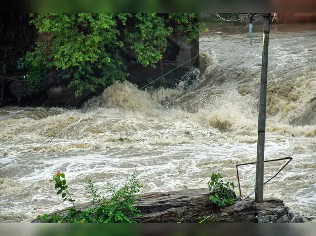 11 river sites across India breach flood warning levels, says govt water  body - The Economic Times