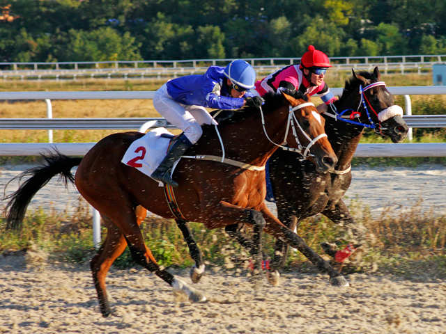 ​Horse-racing - Japan