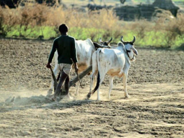 Great rural land rush: 3 to 100-fold rise in farm land prices may ...