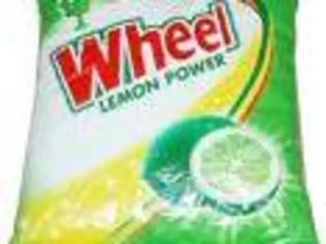wheel of fortune borrow