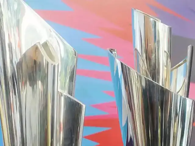 World T20 To Be Called T20 World Cup From 2020 Edition Icc The Economic Times