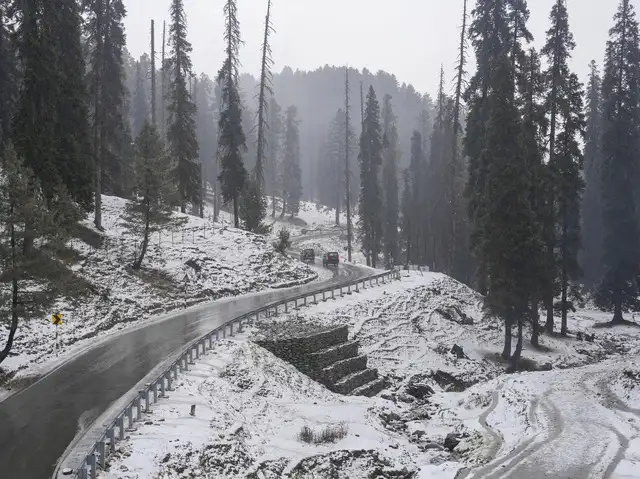 Snowfall, rain in Kashmir; fog undeterred in Delhi, Punjab, UP - The  Economic Times