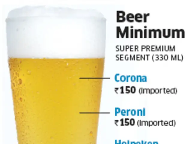 Heineken Ub Betting Big On Beer Brand Heineken To Take On Danish Brewer Carlsberg The Economic Times A wide variety of heineken beer price options are available to you, such as champagne style beer, steam beer, and herb & spice beer. ub betting big on beer brand heineken