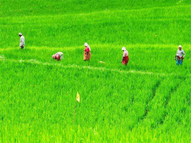 Agriculture Ministry to be renamed as Ministry of Agriculture & Farmers' Welfare: PM - The Economic Times