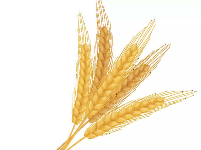 is wheat dextrose gluten free