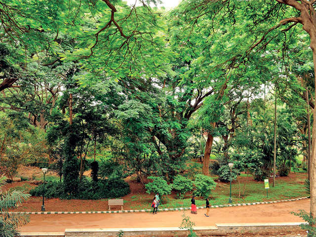 Lalbagh walk with PC, 100215: deponti — LiveJournal