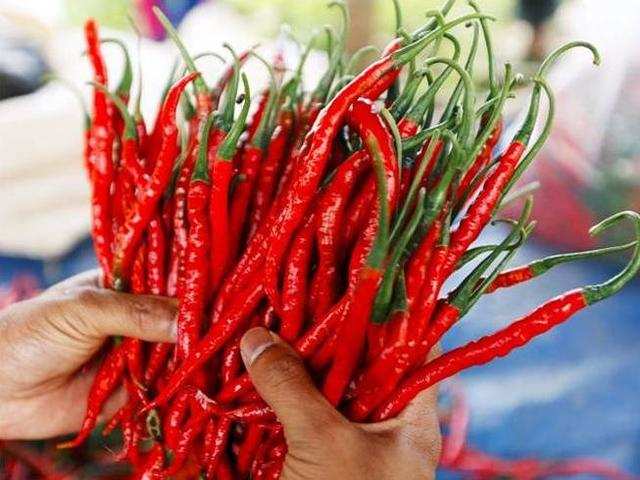 Red chilli: Glut leads to red chilli prices crashing 60%, exports ...