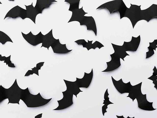 Small, Neat Paper Bats As Wall Art