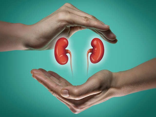 Facts About Kidney Health