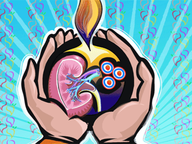 Stem Cells Can T Fix All Diseases Aiims The Economic Times As cells that originate from a fertilized egg, they influence the formation of various intracellular and extracellular tissues during growth and development. stem cells can t fix all diseases