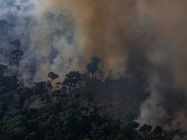 ​Forest Fires Brazil