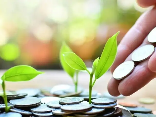 ELSS or ULIP or PPF: Where to invest?