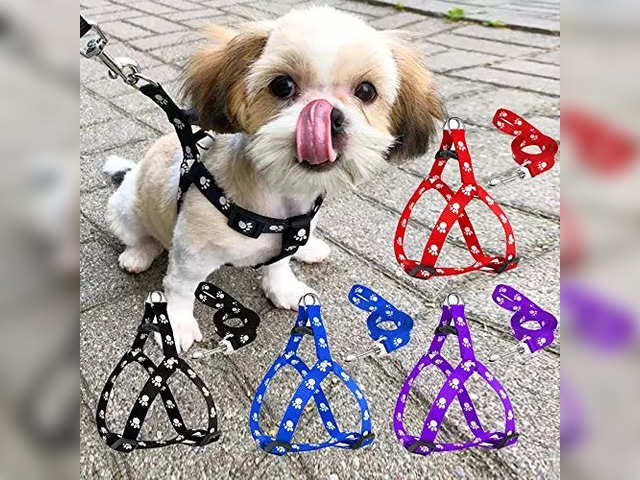 https://img.etimg.com/thumb/width-640,height-480,imgsize-77602,resizemode-75,msid-101120332/top-trending-products/pets/6-best-selling-dog-leash-online-treat-your-dog-to-a-stylish-secure-dog-leash/petlicious-more-leash-set-for-dogs.jpg
