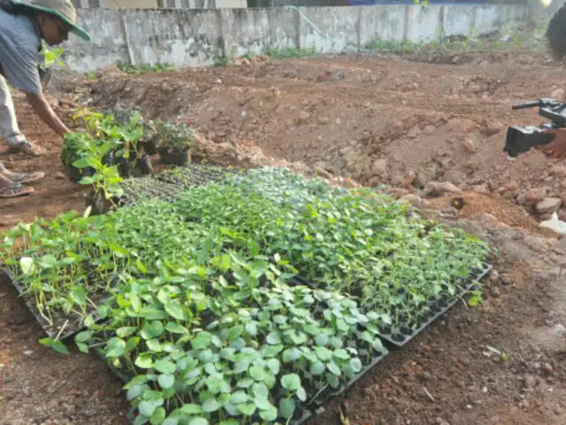 How Organic Farming And Right Prices Are Helping Kerala Farmers The Economic Times Kerala is a major exporter of coir, spices, marine products, cashew, coffee and pickles. prices are helping kerala farmers