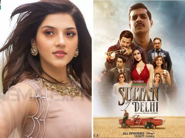 sultan of delhi Mehreen Pirzada lambasts media for calling rape  