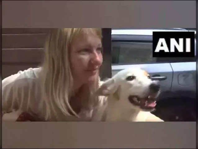 Sex Dog Animal Tamil Videos - Meet Jaya, the Varanasi street dog who is set to leave for Netherlands -  The Economic Times