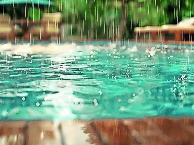 Image for Swimming in the rain