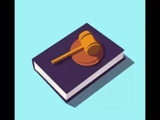 Image for Big tech regulation in Brazil is a matter of sovereignty, says minister