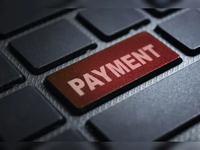startups: Payment startups big winners of e-commerce boom - The ...