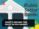 PSU banks continue to outperform: What's driving the rally, key factors explained