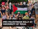 Pro-Palestine protests continue across US