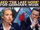 After helping Trump in US, Musk backs anti-immigration AfD ahead of German elections