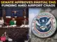 'Enough is enough…': Senate approves partial DHS funding, leaving ICE out amid airport travel chaos