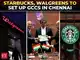 Starbucks, Walgreens to set up GCCs in Chennai, CM Vijay signs MoU; 1000-plus jobs expected