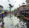 Campaign colours in Lal Chowk