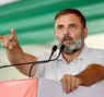 Congress fields Rahul Gandhi from Rae Bareli, KL Sharma to contest from Amethi